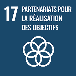 Présentation de l’ODD 17